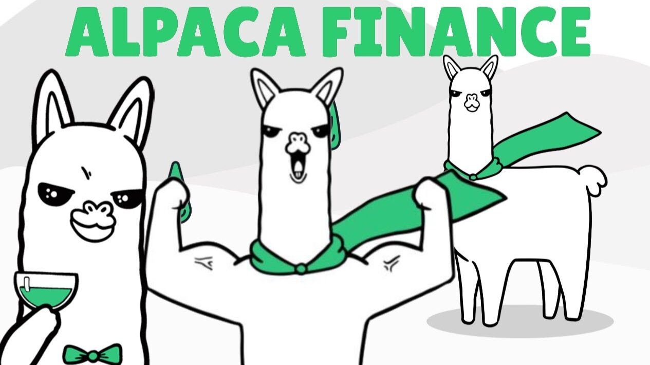 ALPACA代币未来发展趋势？ALPACA如何参与DeFi生态？