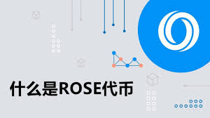 ROSE是做什么的？ROSE未来能突破哪一步？