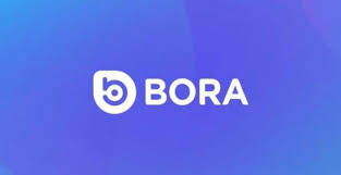 BORA如何储存与使用？｜BORA有什么实际应用？