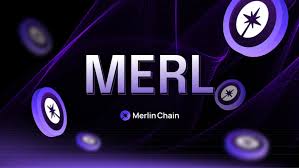 MERL能否实现长期价值？MERL生态有什么独特机制