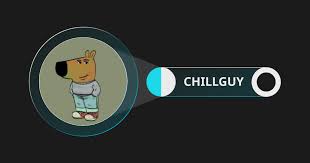 CHILLGUY怎么交易？CHILLGUY背后是谁？