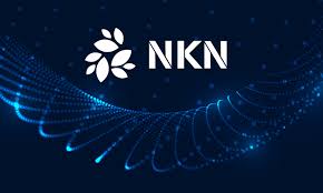 NKN代币未来用途有哪些？NKN如何实现分布式账本网络？