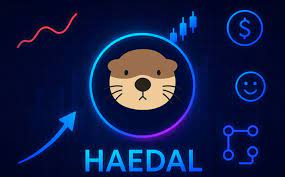 HAEDAL代币有实际用途吗？HAEDAL如何参与项目治理？