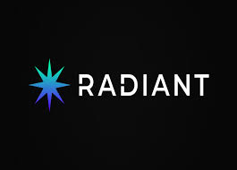 RDNT 有哪些使用场景？｜RDNT 如何参与生态治理？