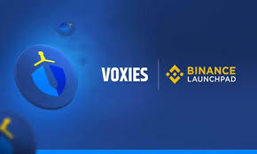 VOXEL是什么代币？|VOXEL在哪些游戏中使用？