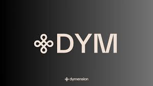 DYM有哪些实际应用？DYM背后的团队靠谱吗？