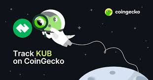 KUB价格还能涨吗？KUB发展前景分析